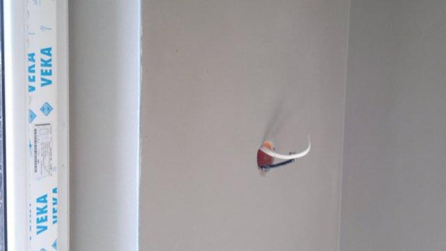 Gładka, jasnoszara ściana po tynkowaniu maszynowym z wystającym kablem elektrycznym. Fragment ramy okiennej VEKA po lewej stronie kadru.