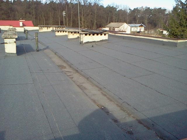 Szary, płaski dach pokryty papą z widocznymi kominami i elementami wentylacyjnymi. W tle drzewa i zabudowania, jasne światło dzienne.