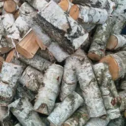 Stos pociętego drewna brzozowego, ułożonego nieregularnie. Kora w odcieniach bieli i szarości. Widoczne przekroje pni.