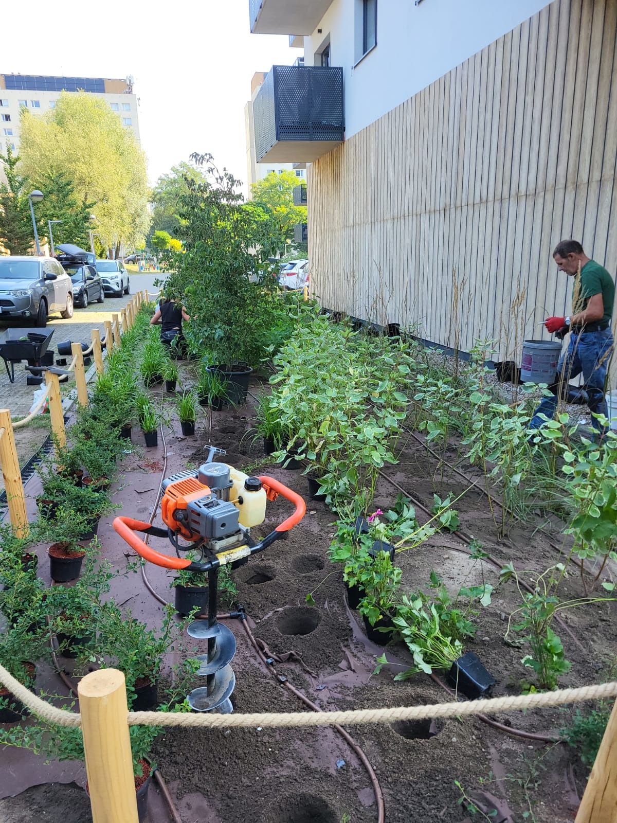 Przygotowanie terenu pod nasadzenia: wiertnica spalinowa do gleby tworzy równe otwory w ziemi, obok doniczki z roślinami, w tle pracownik w czerwonych rękawicach i budynek z drewnianą elewacją.