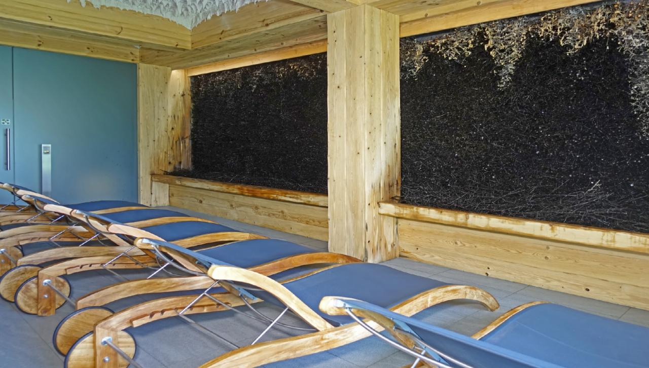 Wnętrze strefy relaksu z leżakami na kółkach i ścianą z tarniny w Lemon Resort SPA.