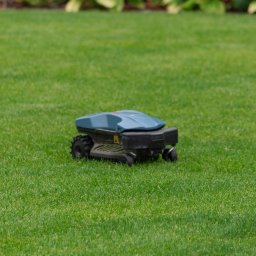 GreenPolis Sp. z o.o. - Robot koszący autonomicznie pielęgnuje trawnik, zapewniając równomierne cięcie. W tle widoczne rośliny rabatowe, tworzące estetyczne otoczenie.