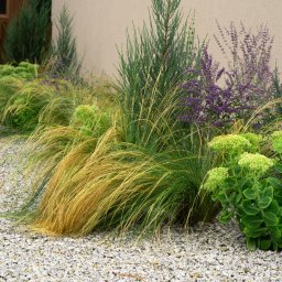 Zakładanie ogrodów Wrocław 2