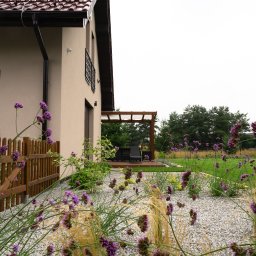 GreenPolis Sp. z o.o. - Nowoczesny ogród z drewnianą pergolą i kwitnącymi fioletowymi werbenami na tle domu z brązowym dachem. Żwirowe rabaty i zadbany trawnik.