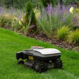 GreenPolis Sp. z o.o. - Robot koszący trawę na tle zadbanego ogrodu z ozdobnymi roślinami i ogrodzeniem panelowym. Widok na świeżo skoszoną trawę i rabaty.