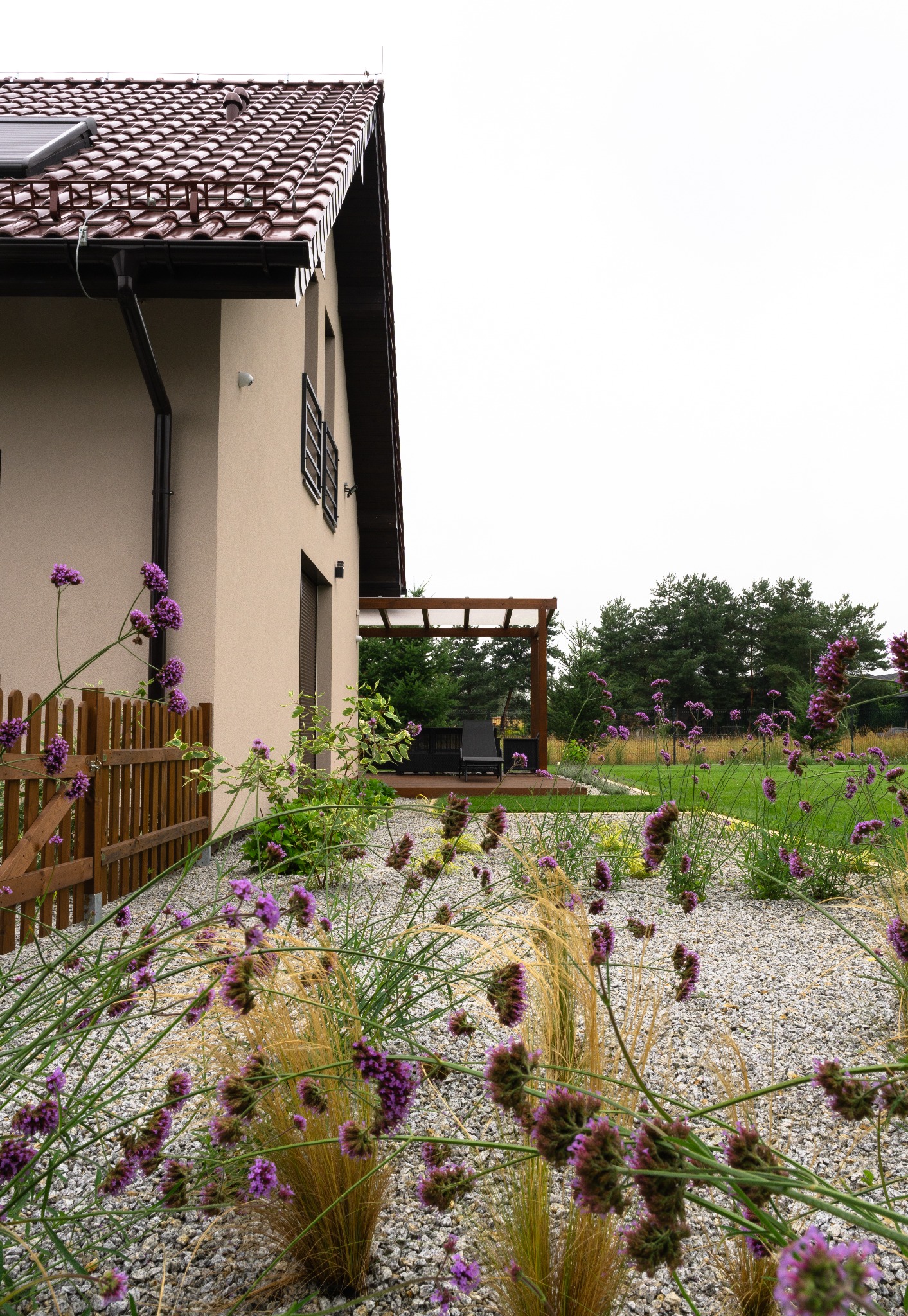 Nowoczesny ogród z drewnianą pergolą i kwitnącymi fioletowymi werbenami na tle domu z brązowym dachem. Żwirowe rabaty i zadbany trawnik.