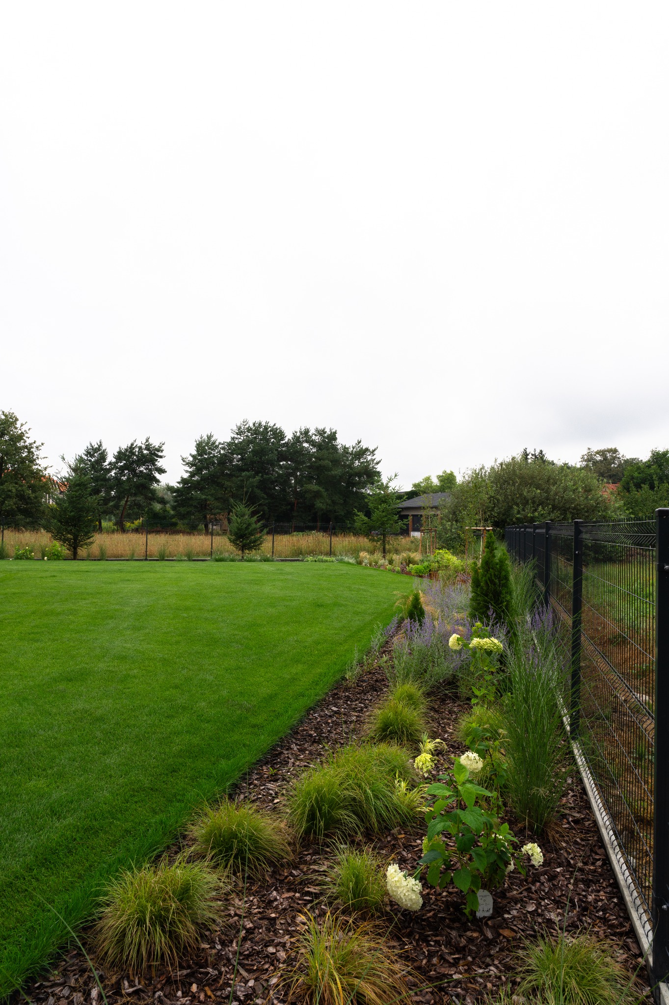 Zadbany trawnik z rabatą kwiatową i ozdobnymi trawami, oddzielony od posesji metalowym ogrodzeniem panelowym. W tle widoczne drzewa i budynek.