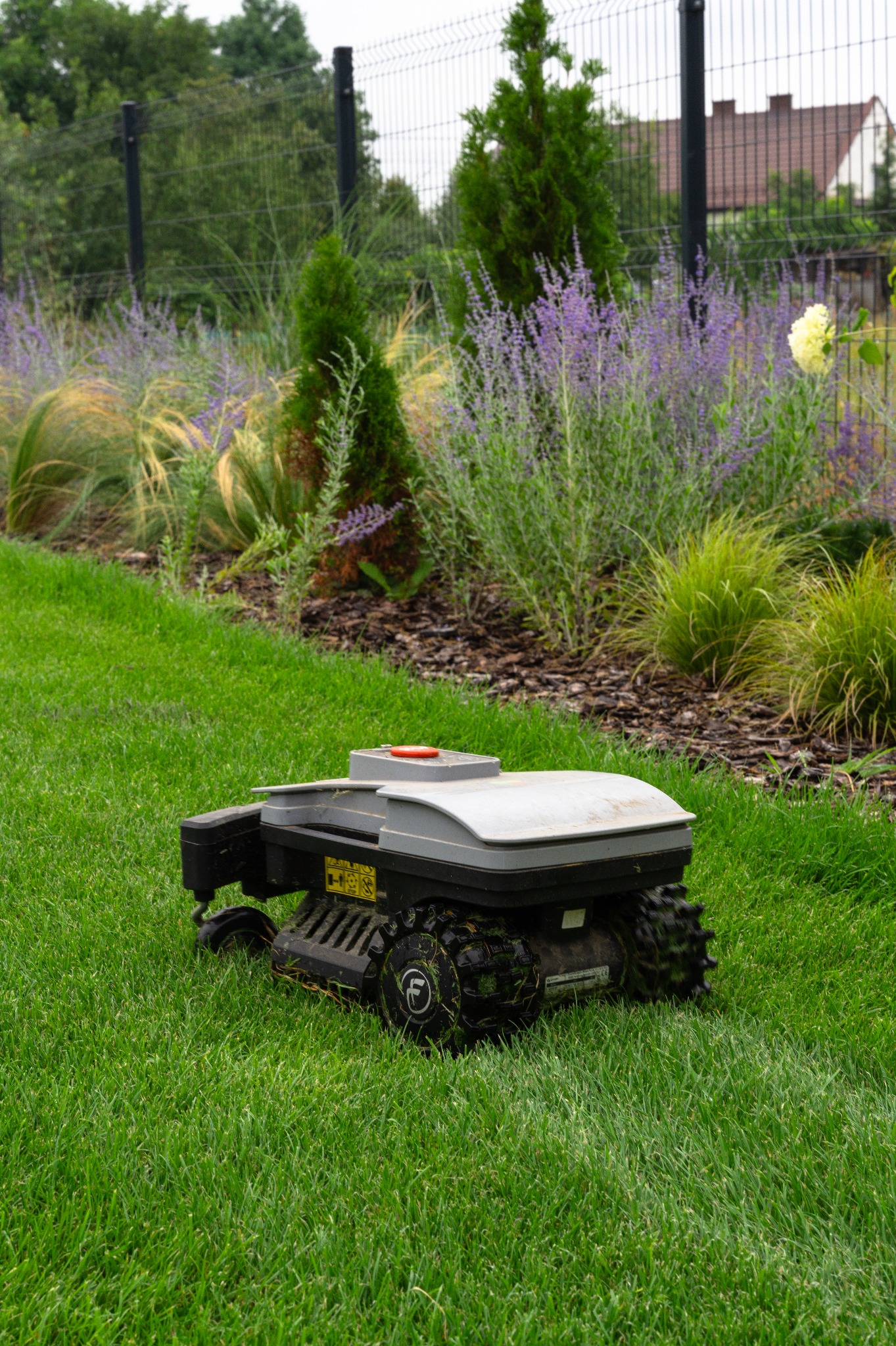 Robot koszący trawę na tle zadbanego ogrodu z ozdobnymi roślinami i ogrodzeniem panelowym. Widok na świeżo skoszoną trawę i rabaty.