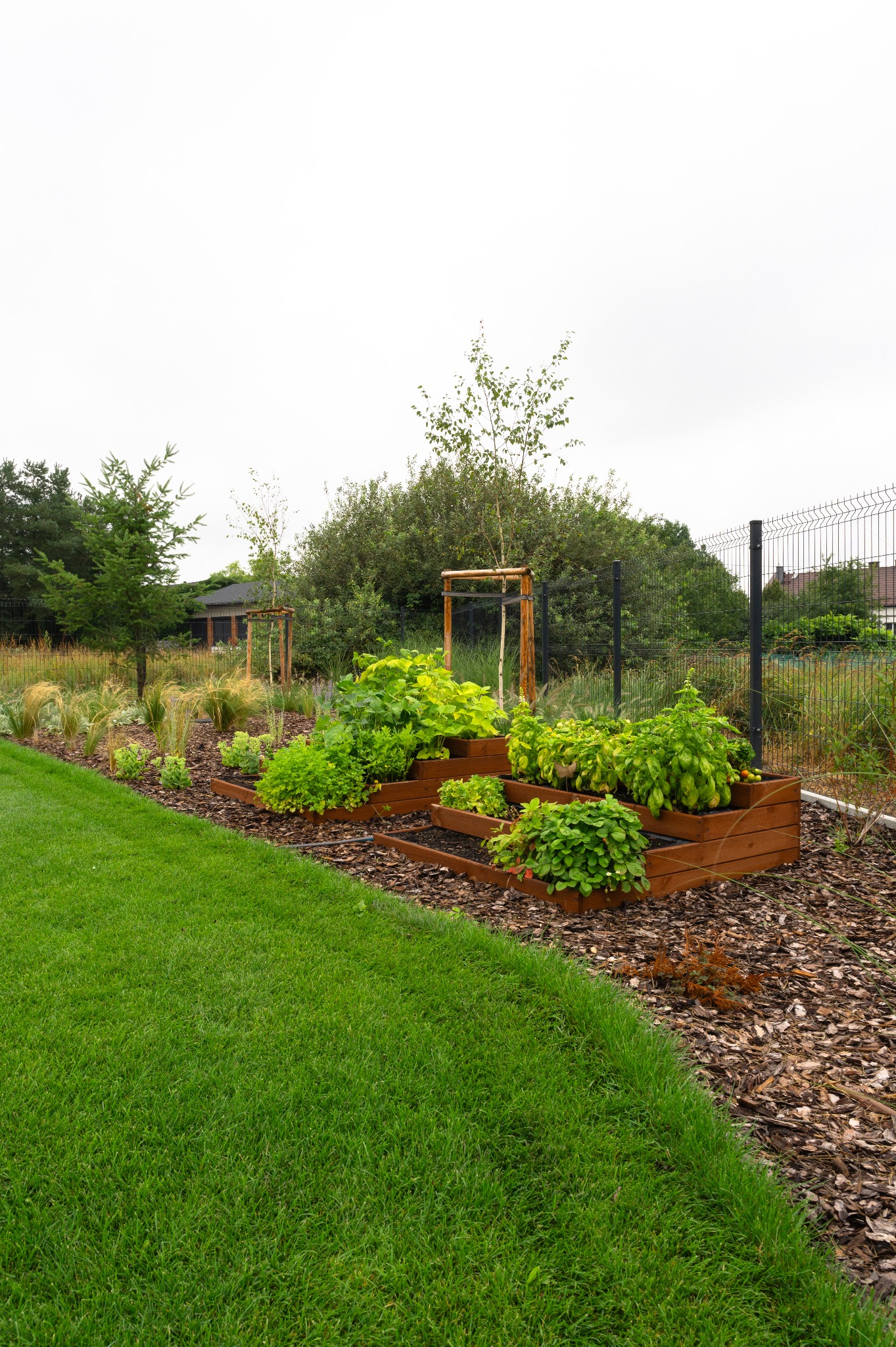 Ogród z drewnianymi, kaskadowymi rabatami, obsadzony zielenią. Trawa przycięta równo, w tle drzewa i ogrodzenie panelowe. Dekoracyjne nasypanie korą.