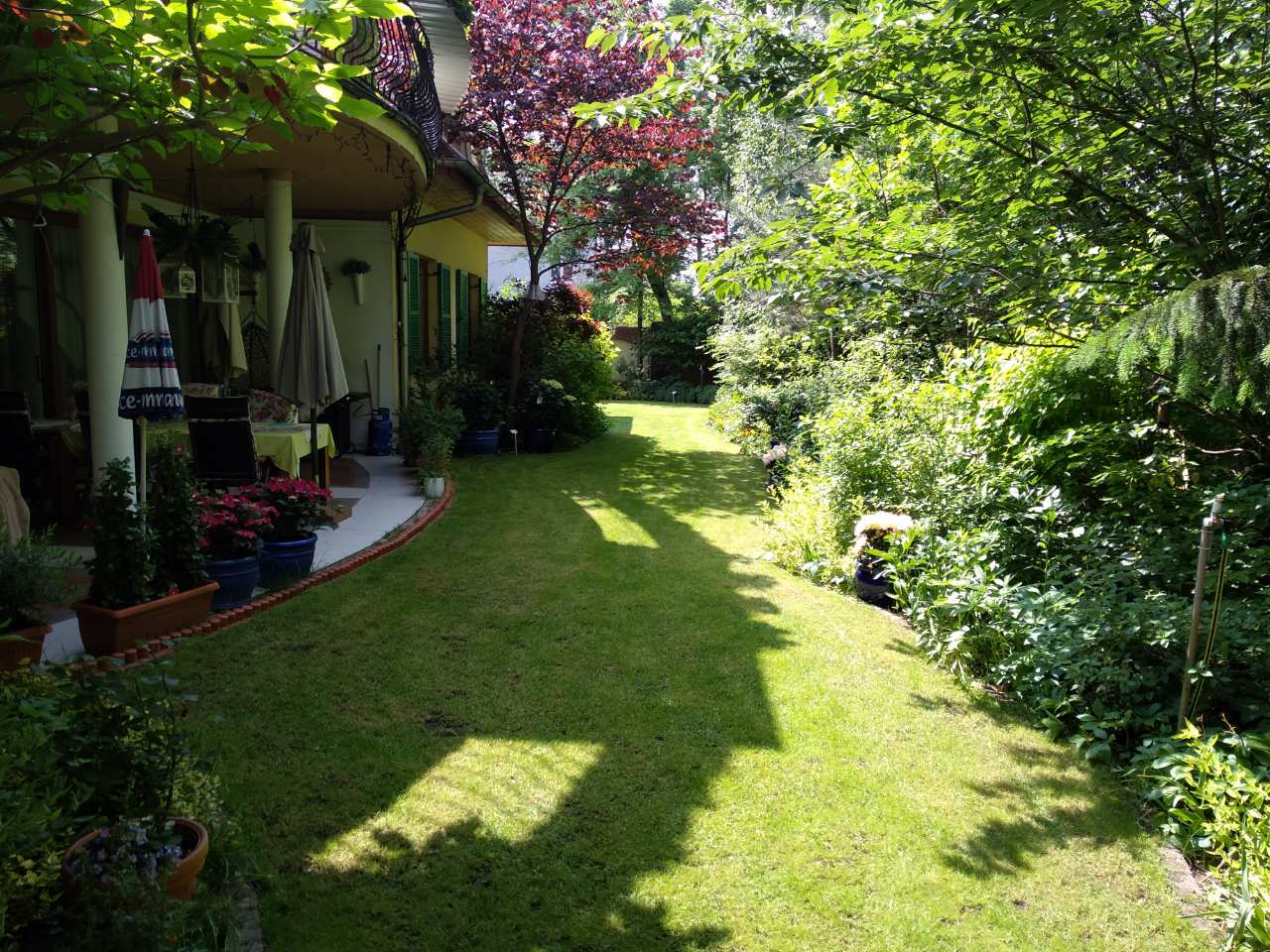 Zadbany trawnik przydomowy z widokiem na taras, rabaty kwiatowe w donicach i bujną roślinność wzdłuż ścieżki ogrodowej.