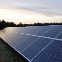 Rozległa instalacja paneli słonecznych na zielonym terenie, z widocznym lasem w tle i zachodzącym słońcem odbijającym się w panelach.