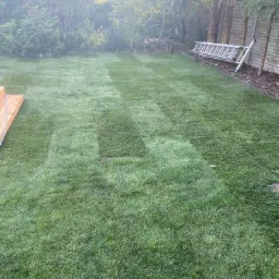 Świeżo położona trawa z rolki w ogrodzie, widoczne ślady po wałowaniu, drabina oparta o mur z cegły, częściowo ocieniony teren.