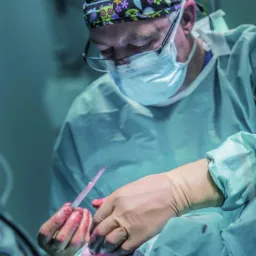 Lekarz w czepku z motywem sów, okularach i masce chirurgicznej, w trakcie zabiegu, trzymający skalpel nad raną.