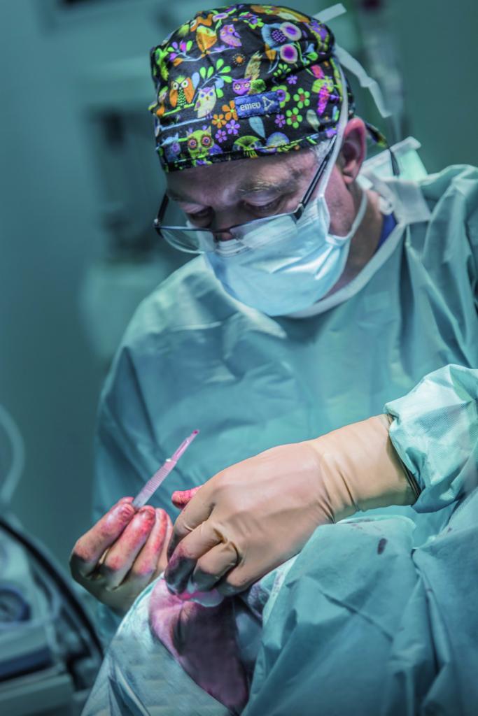 Lekarz w czepku z motywem sów, okularach i masce chirurgicznej, w trakcie zabiegu, trzymający skalpel nad raną.