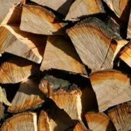 Stos pociętego drewna kominkowego, widoczne słoje i kora, oświetlone ciepłym światłem słonecznym, ukazujące naturalną teksturę drewna.