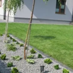 Nowoczesny ogród przydomowy z równo przystrzyżonym trawnikiem, rabatą wysypaną drobnym żwirem, niskimi krzewami i młodymi drzewkami podpartymi tyczkami.