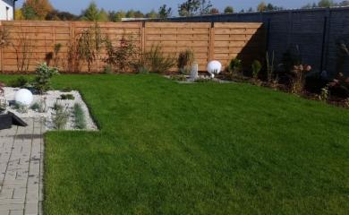 Świeżo skoszony trawnik z rolki, obrzeże z białego kamienia i niskich roślin, drewniany płot w tle, dekoracyjne kule świetlne.