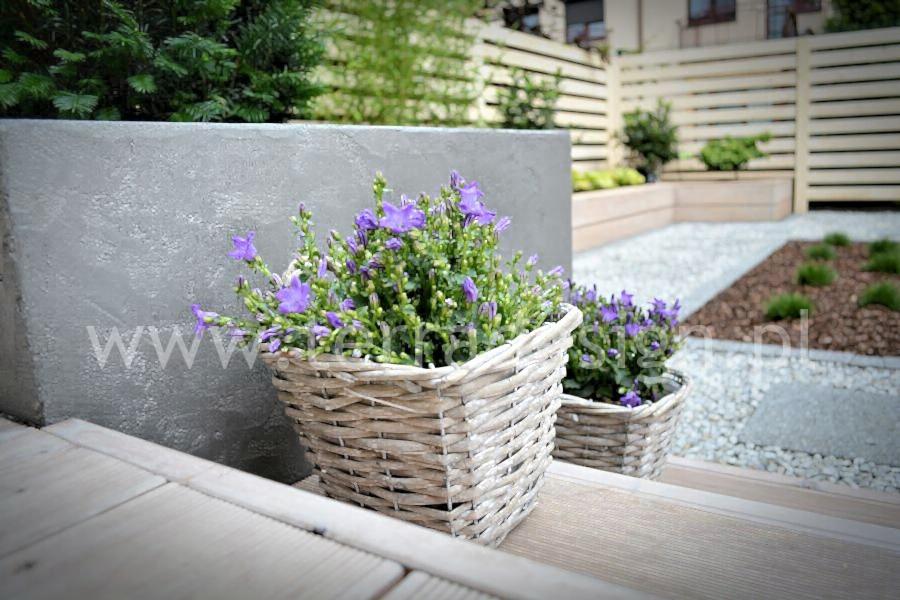 Dwa wiklinowe kosze z kwitnącymi fioletowymi dzwonkami na drewnianych schodach, w tle betonowa donica i żwirowy ogródek z jasnym drewnianym płotem.