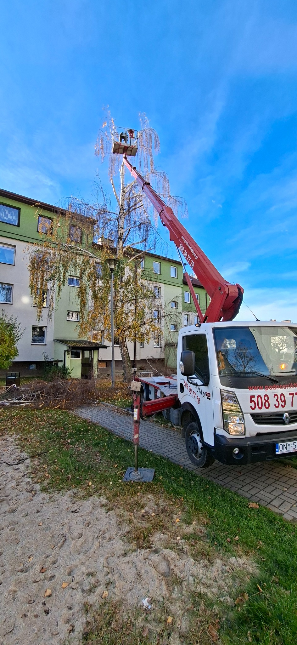 Prace wysokościowe: podnośnik koszowy z pracownikiem przycinającym gałęzie brzozy obok bloku mieszkalnego. Widoczne ścięte gałęzie na ziemi.