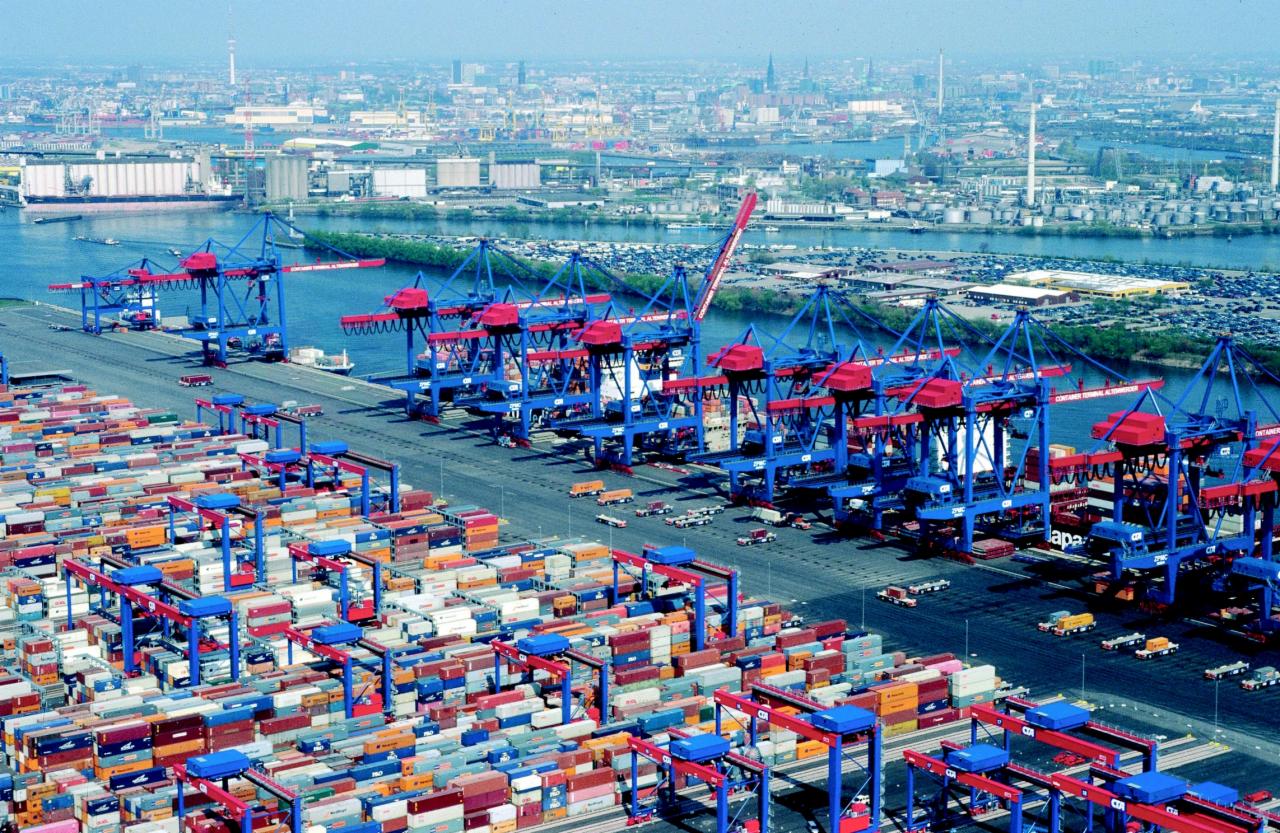 Panorama portu w Skierniewicach z licznymi kontenerami i dźwigami w kolorach niebieskim i czerwonym, w tle widok na miasto.