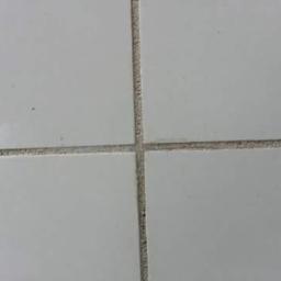 JLInwesting - Białe, kwadratowe płytki ceramiczne ułożone w siatkę, z widocznymi spoinami wypełnionymi szarą fugą, na których widać drobne zabrudzenia.