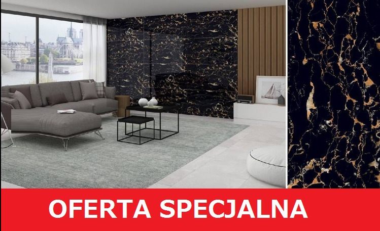 Salon z czarną marmurową ścianą z gresu, szarą sofą i dywanem. Widok na Notre Dame za oknem. W tle drewniane panele. Na dole czerwony pasek z napisem 'Oferta Specjalna'.