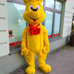 Gołąb - Naprawa AGD Warszawa