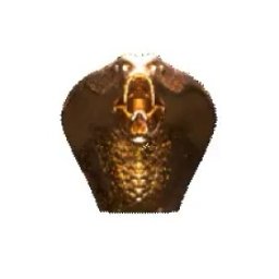 CEKPOL SPÓŁKA Z OGRANICZONĄ ODPOWIEDZIALNOŚCIĄ - Poprawianie Błędów Warszawa