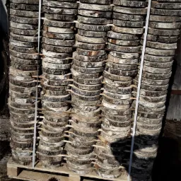 Stos okrągłych plastrów drewna brzozowego z korą, ułożonych na palecie i zabezpieczonych taśmą.