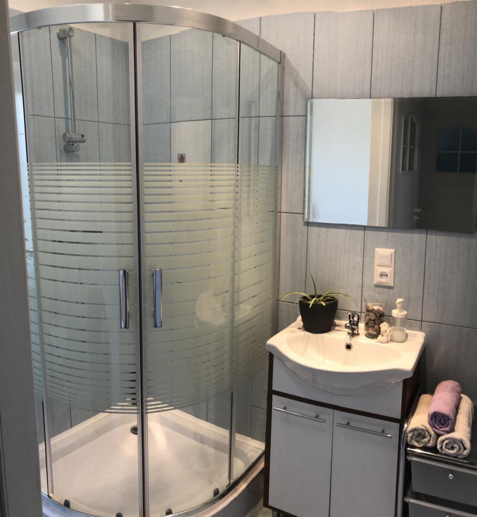 Łazienka z kabiną prysznicową z matowymi poziomymi paskami, umywalką z szafką, lustrem, kwiatem w doniczce, ręcznikami i szarymi płytkami na ścianach.