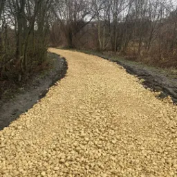 Nowo utwardzona, kręta ścieżka z jasnych kamieni w naturalnym otoczeniu leśnym, widoczne błotniste obrzeża.