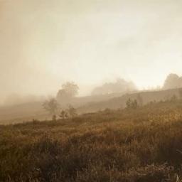 Sesja ciążowa Bierzwnik 2