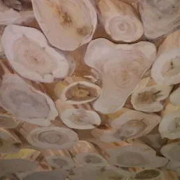 Drewniany sufit dekoracyjny z nieregularnych, jasnych plastrów drewna, ukazujących słoje, wypełnionych piaskową fugą.