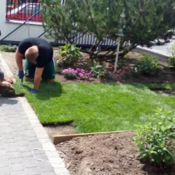 Dwóch mężczyzn układa kwadratowe płyty trawy z rolki w ogrodzie, widoczne narzędzia i rolki trawy w tle, częściowo wyłożony trawnik, obok ścieżka z kostki brukowej i rabaty kwiatowe.