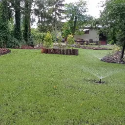 Zraszacz nawadnia soczysty trawnik w ogrodzie z rabatami z korą i ścieżką z kamiennych płyt.