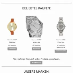 portfolio - Raum Zeit Salon - sklep z zegarkami