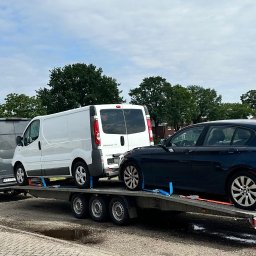 Wierzbicki Transport InstalLoft - Laweta z dwoma busami i samochodem osobowym, zabezpieczonymi pasami transportowymi, na tle drzew i pola.