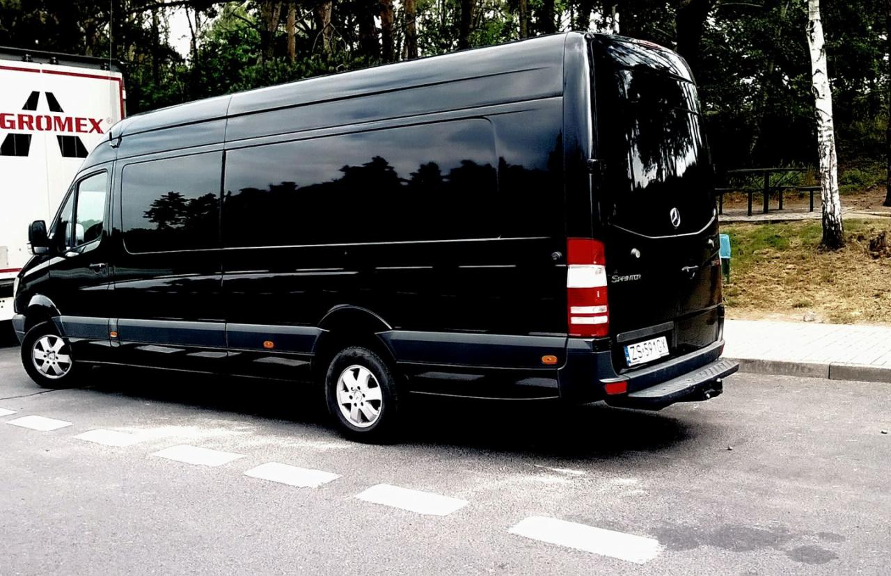 Czarny bus marki Sprinter zaparkowany na parkingu z widocznym białym oznakowaniem poziomym, w tle drzewa i biała naczepa z napisem 'GROMEX'.