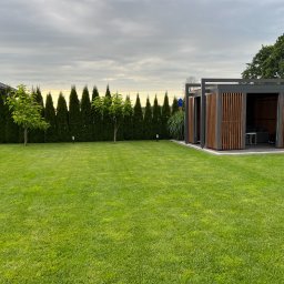 SHINIK GLOBAL Sp. z o. o. - Nowoczesna, drewniana pergola z paletami na trawniku, otoczona tujami i młodymi drzewkami, pod pochmurnym niebem. Widoczny fragment dachu domu.