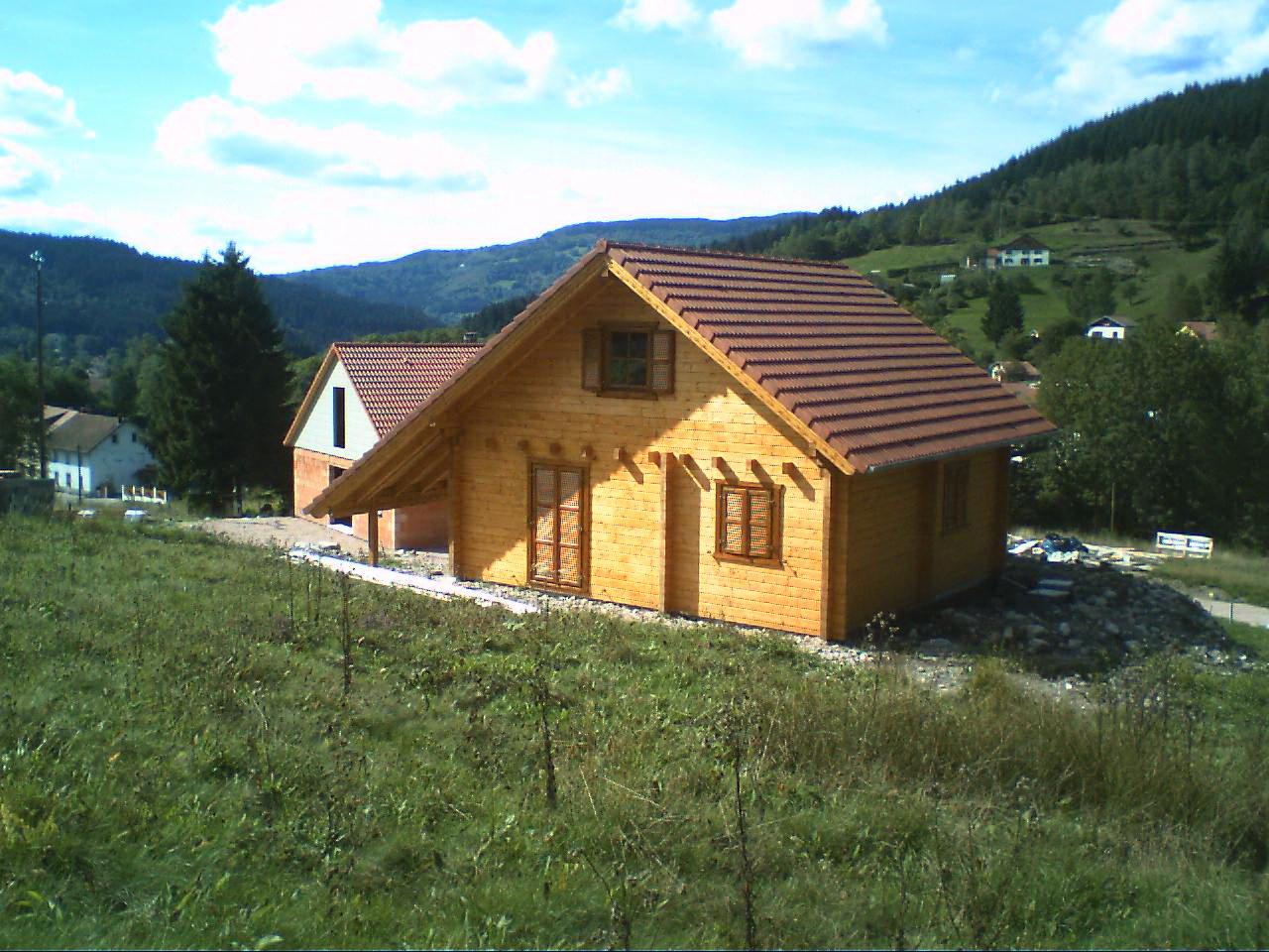 Surowy, drewniany dom z bali z brązowym dachem na wzgórzu, z widoczną konstrukcją drugiego budynku w tle, otoczony zielenią i lasami.