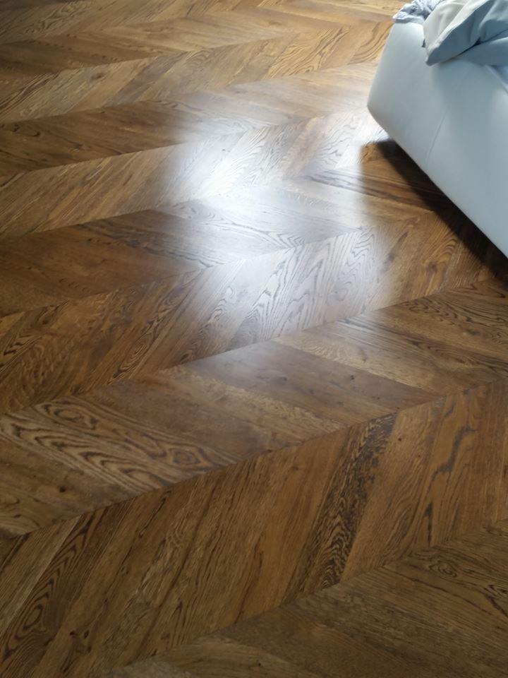 jodła francuska dab