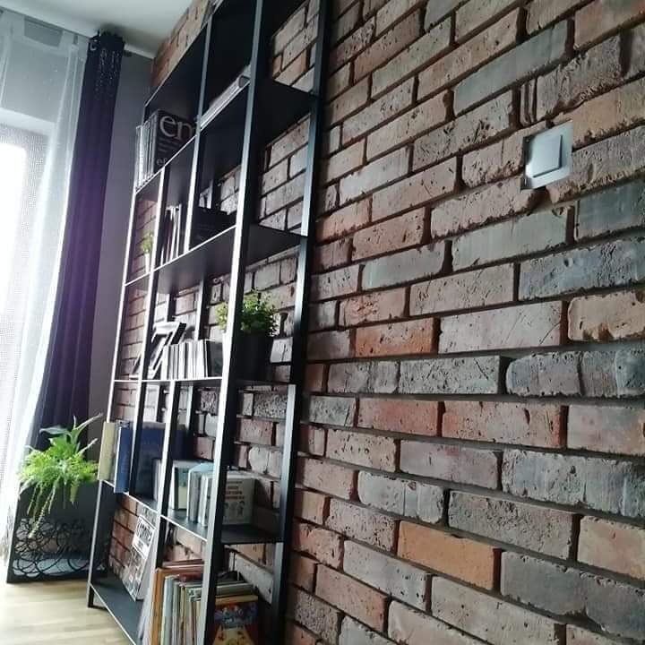 Metalowa, czarna półka regałowa z książkami i roślinami na tle ściany z cegły klinkierowej w odcieniach czerwieni, brązu i szarości.