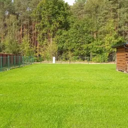 Rozległy trawnik z rolki, widok na drewniany domek z drewutnią, ogrodzenie panelowe i drzewa w tle.