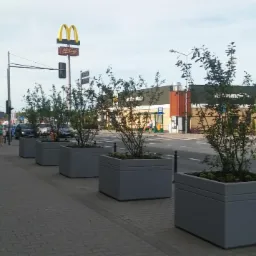 Rząd szarych, betonowych donic z młodymi drzewkami ustawiony wzdłuż chodnika miejskiego, w tle budynek McDonald's i ruch uliczny.
