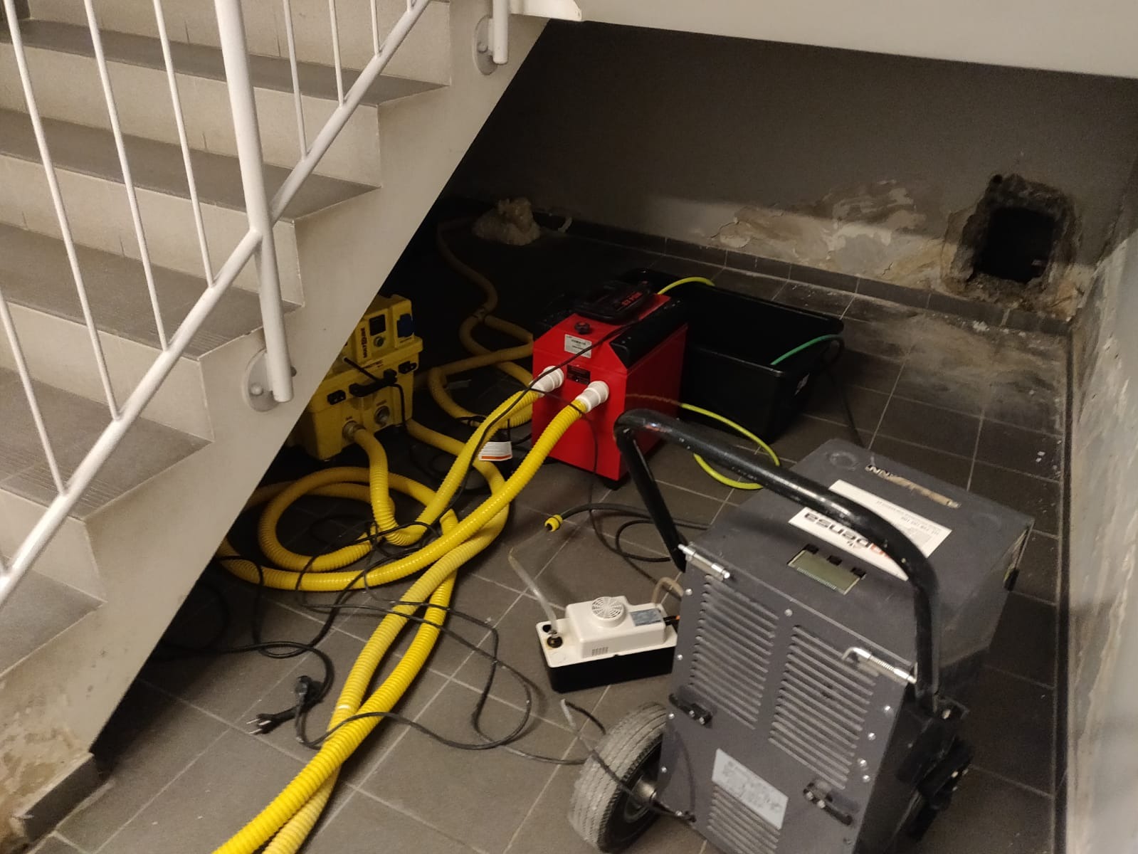 Sprzęt do usuwania wilgoci pod schodami, widoczne żółte węże, czerwony i szary osuszacz oraz ślady zawilgocenia na ścianie.