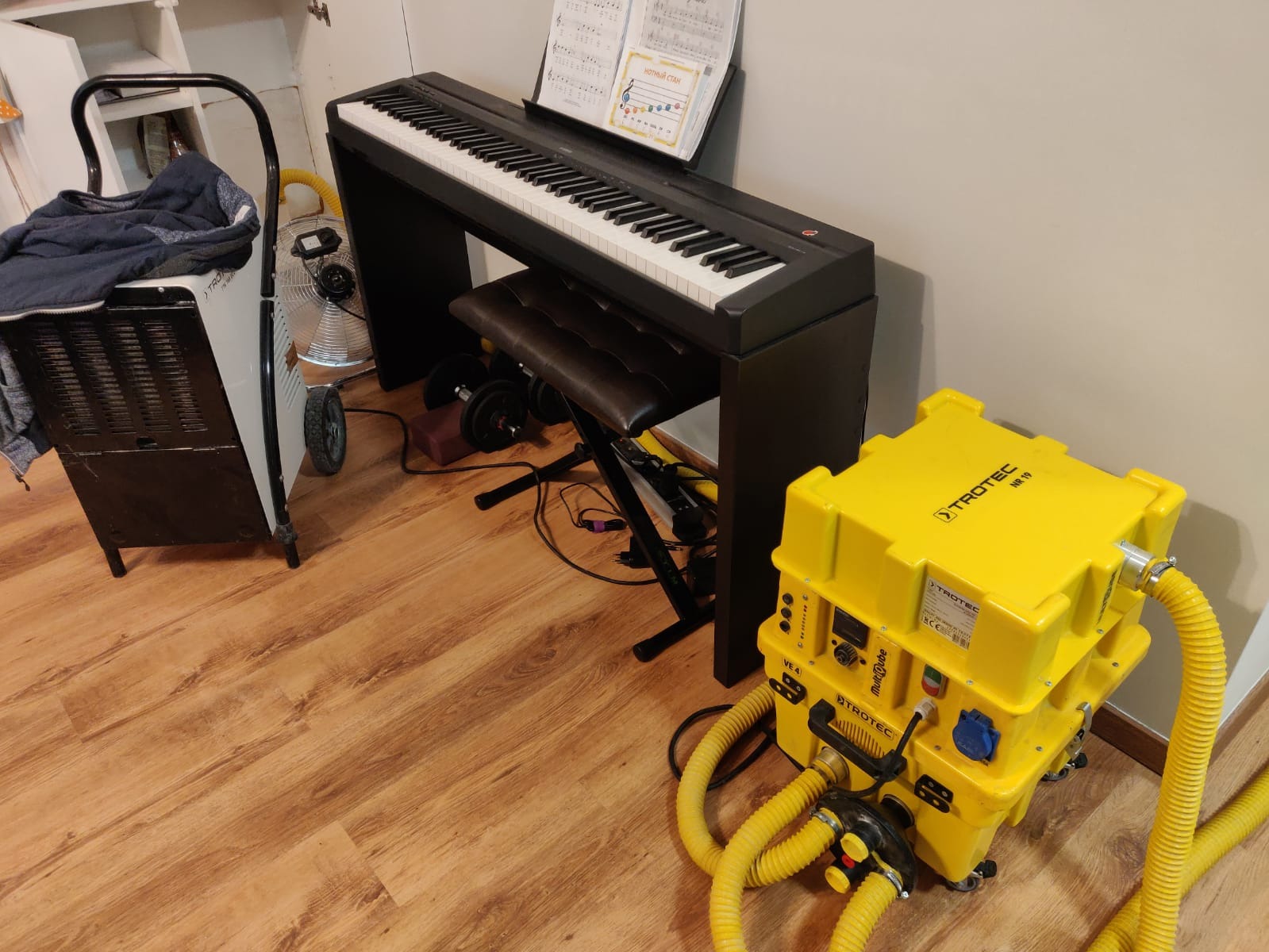 Żółty, przemysłowy osuszacz powietrza TROTEC ustawiony na drewnianej podłodze w pomieszczeniu z pianinem cyfrowym i wentylatorem. Widoczne węże odprowadzające wilgoć.