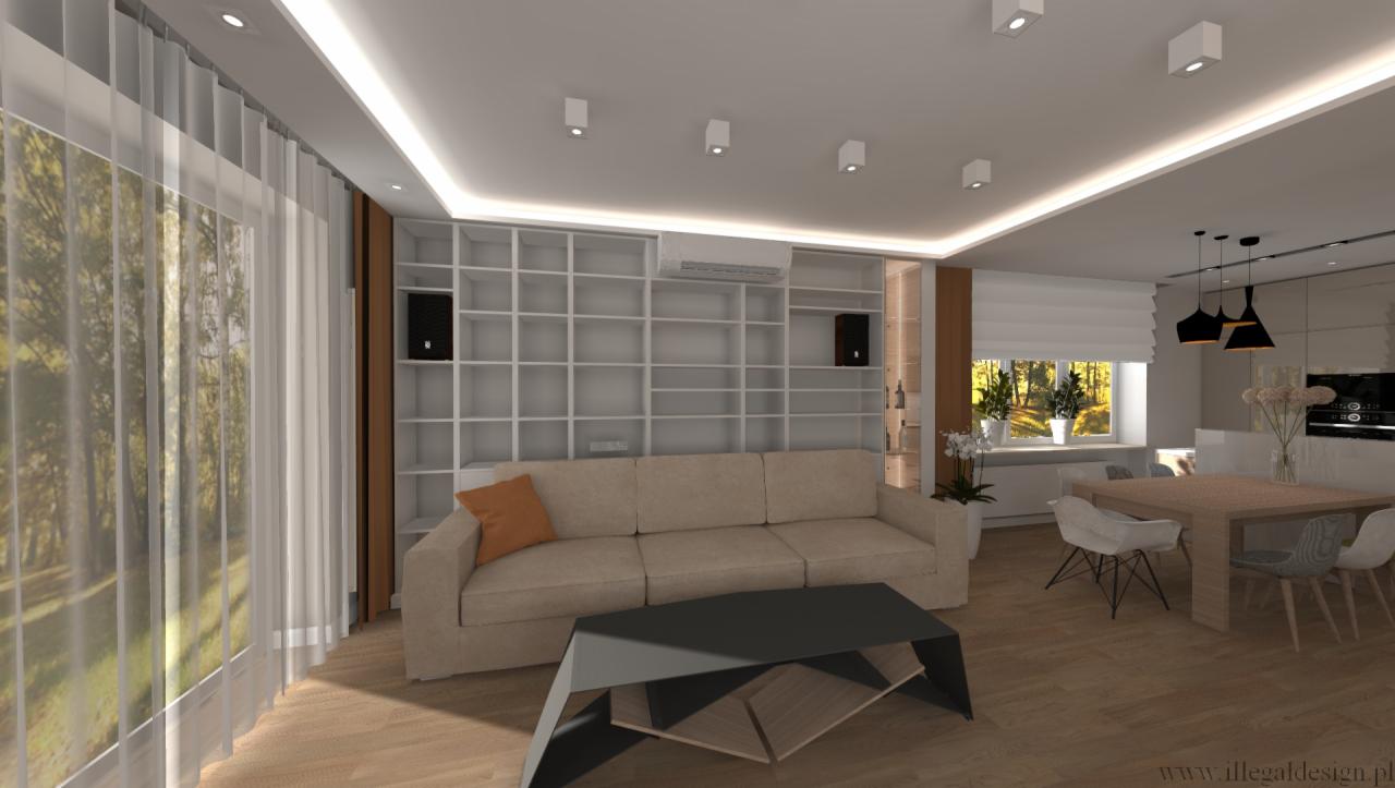 salon w kolorach ziemi