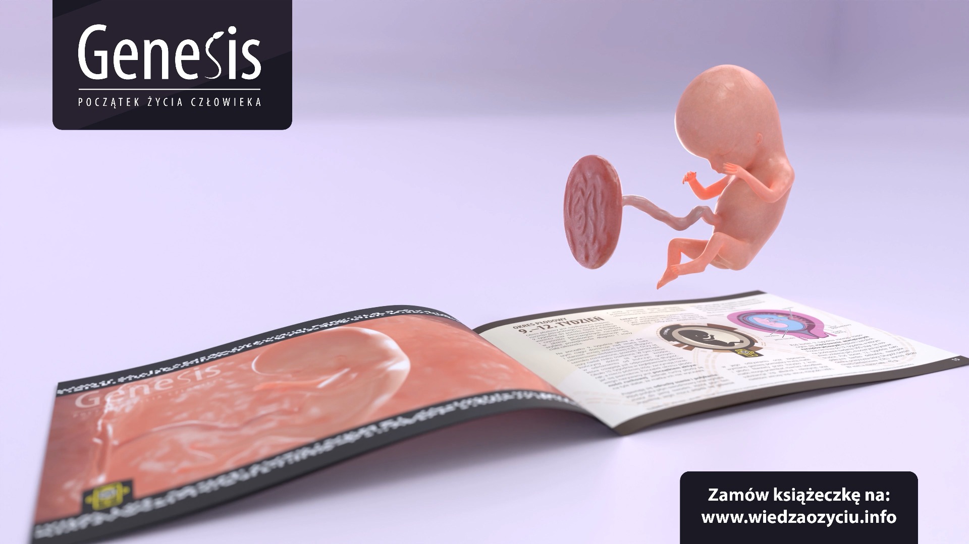 Książeczka z wizualizacją 3D płodu w 9-12 tygodniu ciąży, prezentująca rozwój prenatalny człowieka.