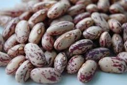 Zbliżenie na surowe ziarna fasoli Pinto z charakterystycznymi bordowymi plamkami na beżowym tle.