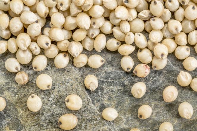 Bliskie ujęcie ziaren sorgo na szarej, teksturowanej powierzchni.